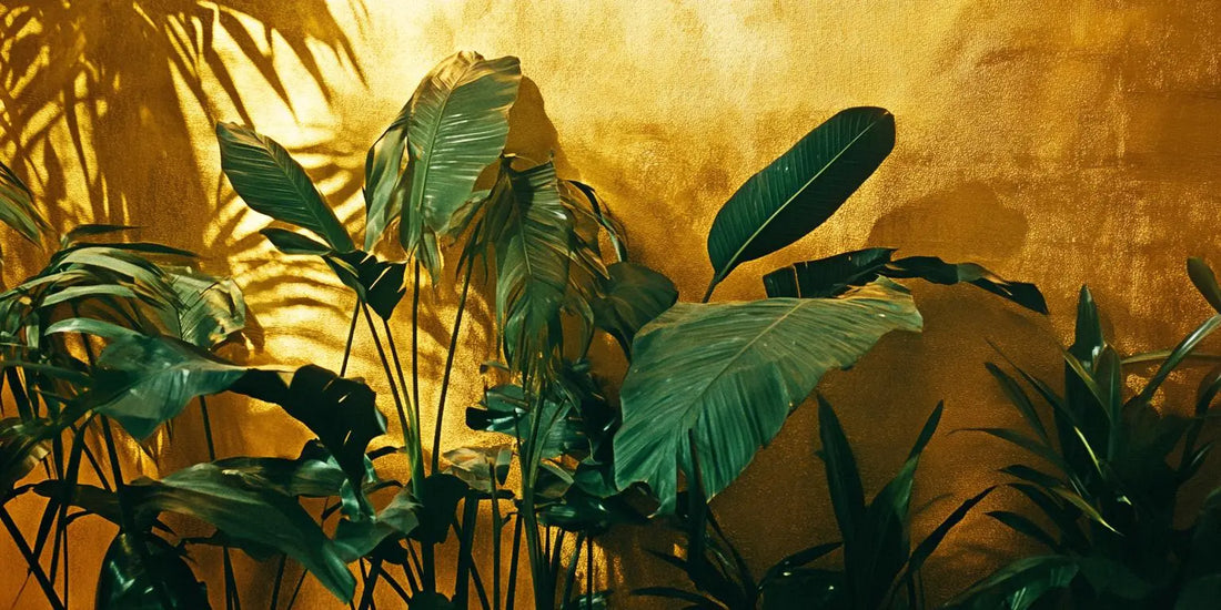 Beneficios-clorofila-Mejora-tu-bienestar-de-forma-natural Temps:de